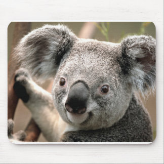 Tapis De Souris Koala