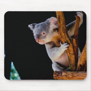 Tapis De Souris Koala Cute en gris arbre