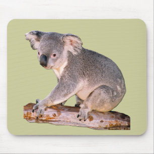 Tapis De Souris Koala Mousepadd
