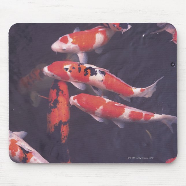 Tapis De Souris Koi piscine (Devant)