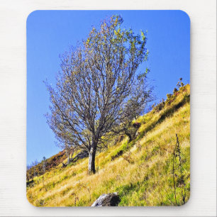 TAPIS DE SOURIS L0NE TREE