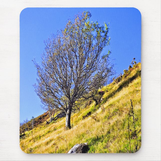 TAPIS DE SOURIS L0NE TREE (Devant)