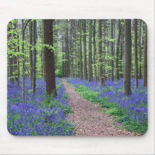 Tapis De Souris La forêt de Halle Halle, Belgique