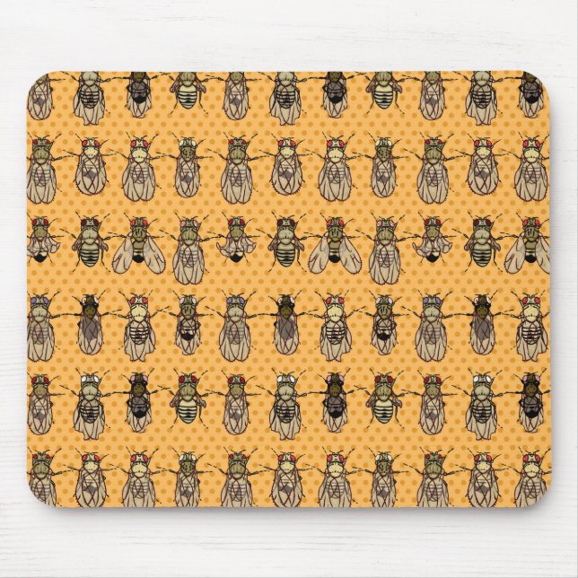 Tapis De Souris La génétique de mouche à fruit de drosophile - (Devant)