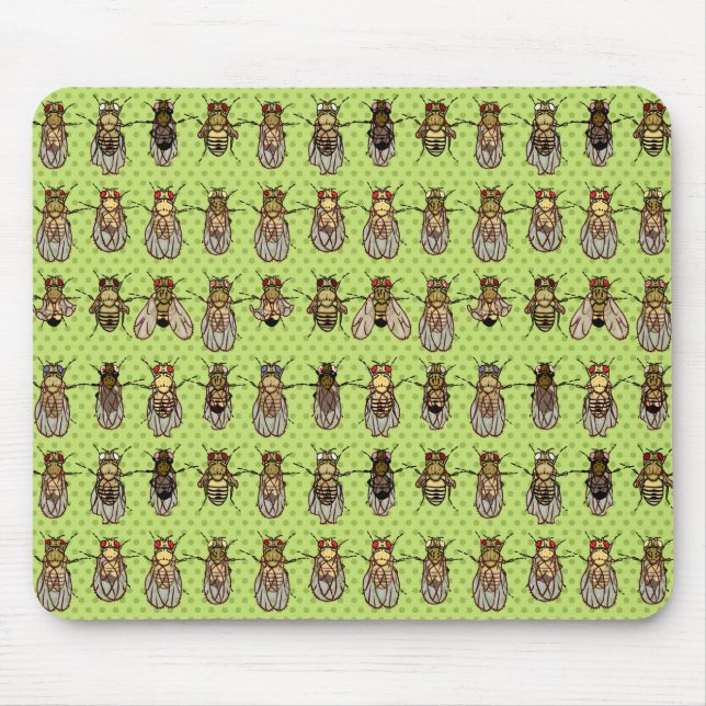 Tapis De Souris La génétique de mouche à fruit de drosophile - (Devant)