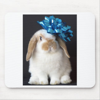 Tapis De Souris La Hollande Lop Mousepad