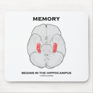 Tapis De Souris La Mémoire Commence Dans L'Hippocampe (Psychologie