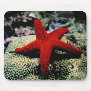 Tapis De Souris La Mer Rouge des poissons d'étoile