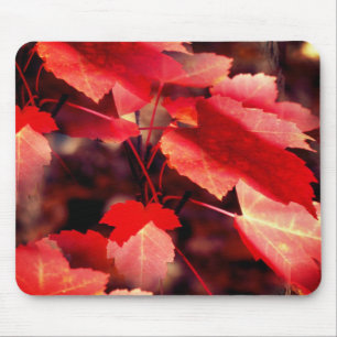 Tapis De Souris La nature des feuilles d'automne rouges