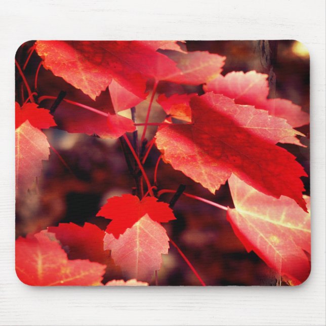 Tapis De Souris La nature des feuilles d'automne rouges (Devant)