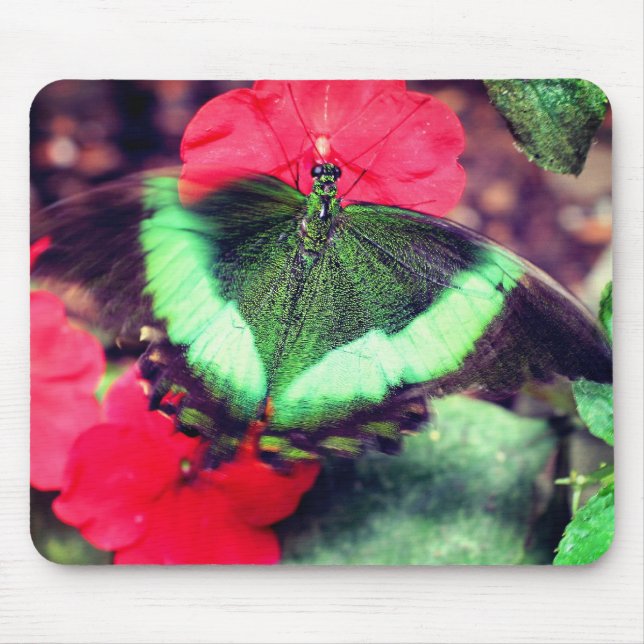 Tapis De Souris La nature des papillons verts (Devant)