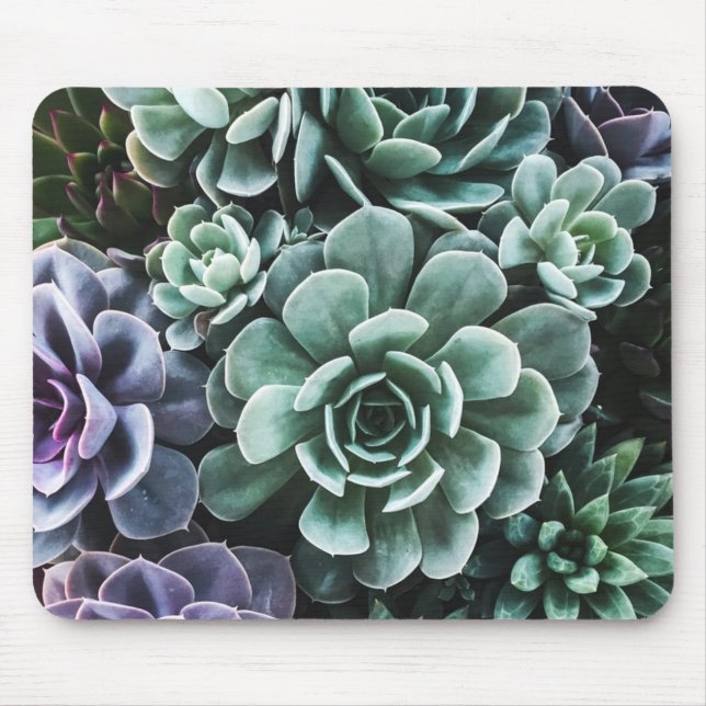 Tapis De Souris La nature Plante verte Succulente (Devant)
