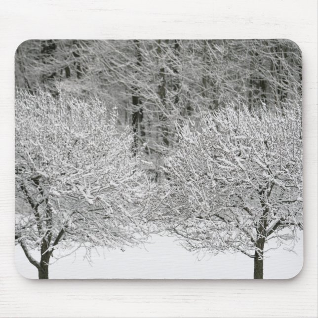 Tapis De Souris La neige a couvert le paysage (Devant)