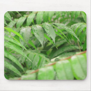 Tapis De Souris La Pluie Tombe Sur Les Feuilles De Sumac