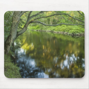 Tapis De Souris La rivière Taunton à Bridgewater,