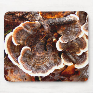 Tapis De Souris La Turquie Tend Fungi Mouse