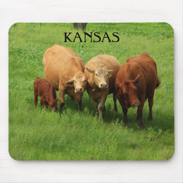 Tapis De Souris La vache du Kansas dans un pâturage vert (Devant)