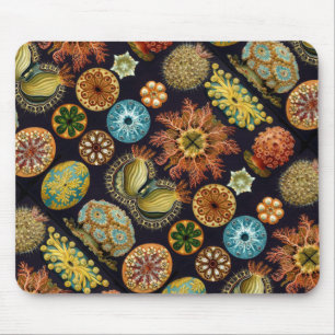 Tapis De Souris La vie d'océan d'Ascidiae d'Ernst Haeckel