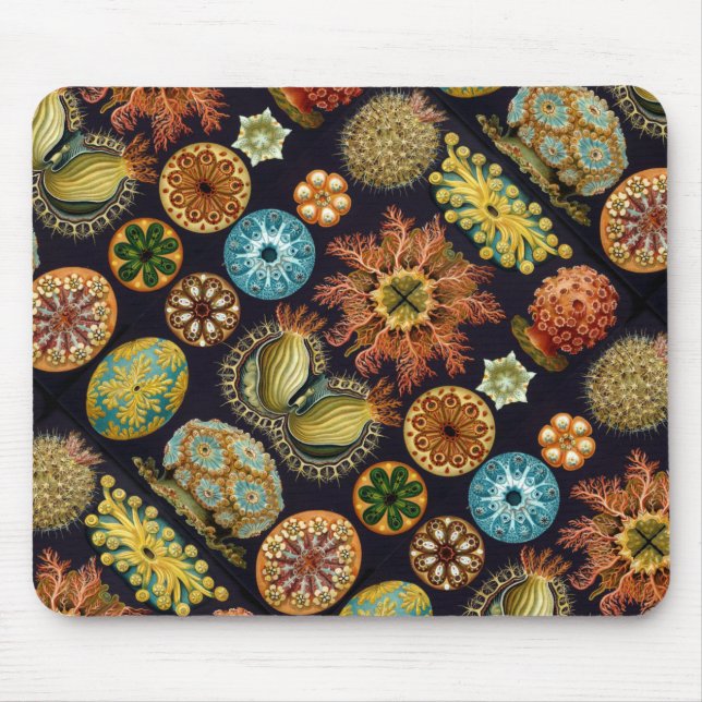 Tapis De Souris La vie d'océan d'Ascidiae d'Ernst Haeckel (Devant)