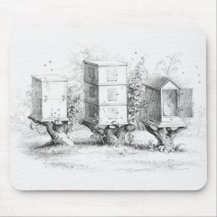 Tapis De Souris L'abeille vintage enferme dans une boîte le miel