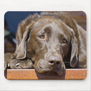 Tapis De Souris Laboratoire triste de chocolat