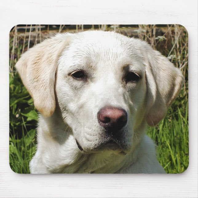TAPIS DE SOURIS LABRADOR DOG (Devant)