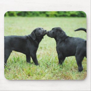 Tapis De Souris Labrador retriever noir