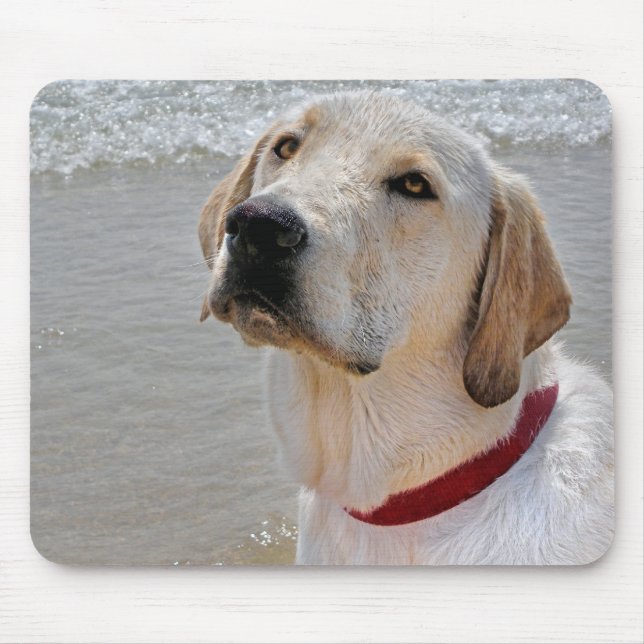 Tapis De Souris Labrador Retriever sur la plage (Devant)