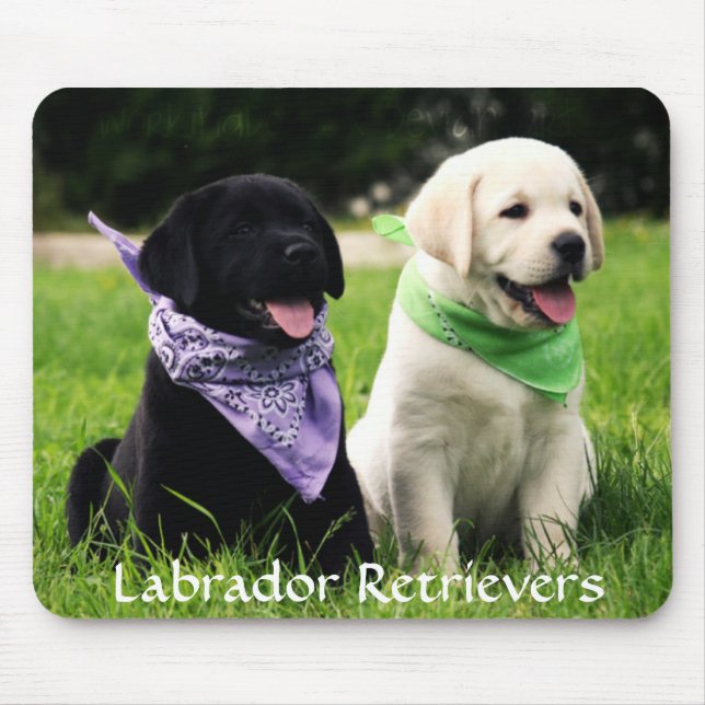 Tapis De Souris Labrador Retrivers Rule Puppies Mousepad (Devant)