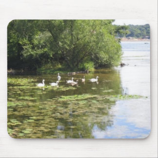 Tapis De Souris Lac swan