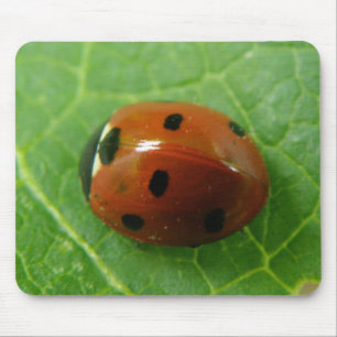 Tapis De Souris Ladybug Mousepad