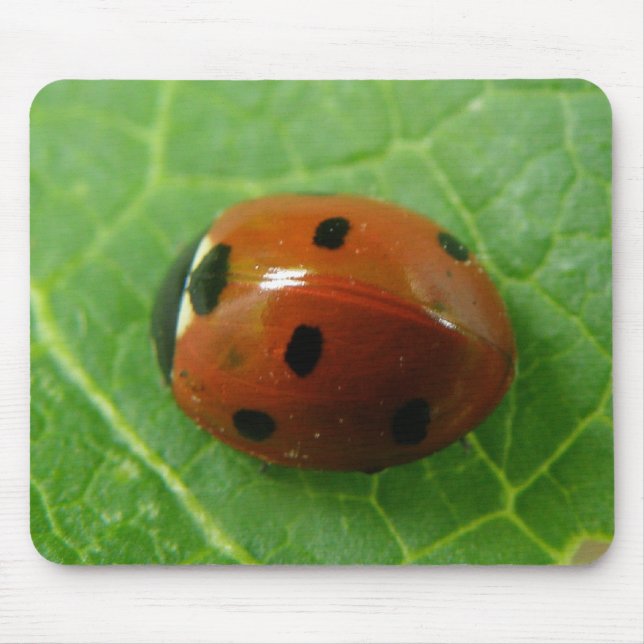 Tapis De Souris Ladybug Mousepad (Devant)