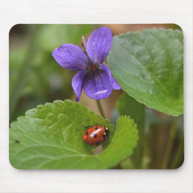 Tapis De Souris Ladybug sur les fleurs de violet doux (Devant)