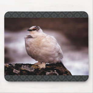 Tapis De Souris Lagopède alpin de roche dans le plumage d'hiver