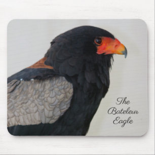 Tapis De Souris L'aigle Bateleur