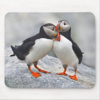 Tapis De Souris L'Amour du Puffin de l'Atlantique