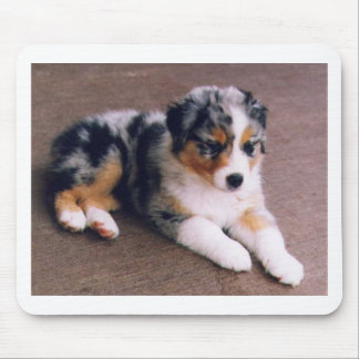 Tapis De Souris L'amour est,