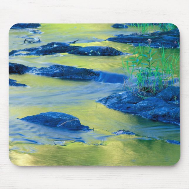 Tapis De Souris Lamprey | New Hampshire (Devant)