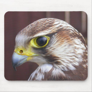 Tapis De Souris Lanner Falcon