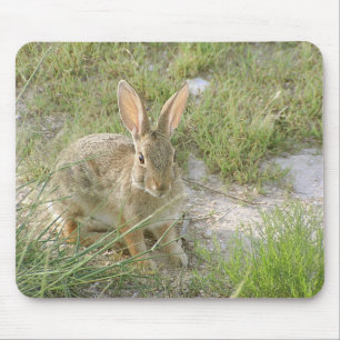 Tapis De Souris Lapin de début de soirée