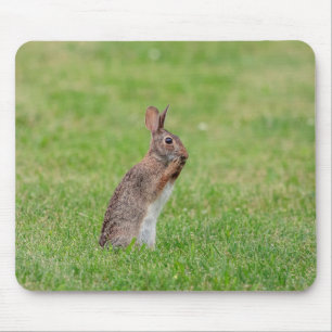 Tapis De Souris Lapin debout dans l'herbe et l'air timide