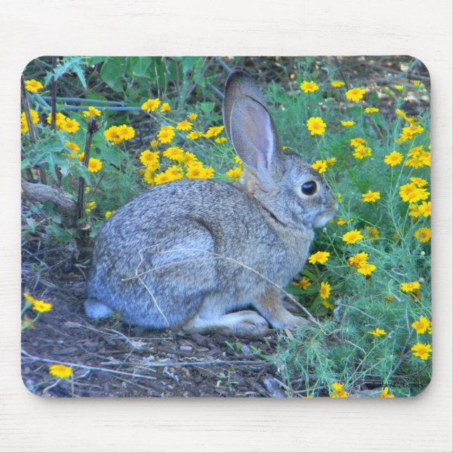 Tapis De Souris Lapin sauvage en fleurs jaunes (Devant)