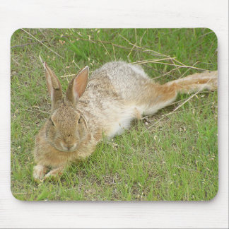 Tapis De Souris Lapin sur la coupure