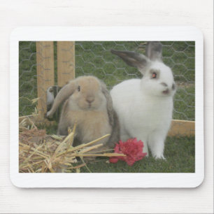 Tapis De Souris Lapins