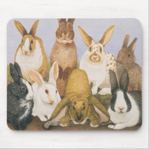 Tapis De Souris Lapins chanceux