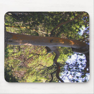 Tapis De Souris L'arbre hanté...