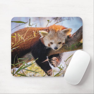 Tapis De Souris Lazy little red panda