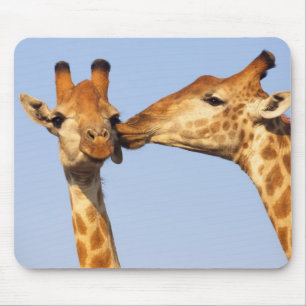 Tapis De Souris Le baiser