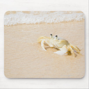 Tapis De Souris Le Brésil, Rio de Janeiro, Buzios, crabe dessus
