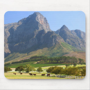 Tapis De Souris Le Cap, Cap-Occidental, Afrique du Sud